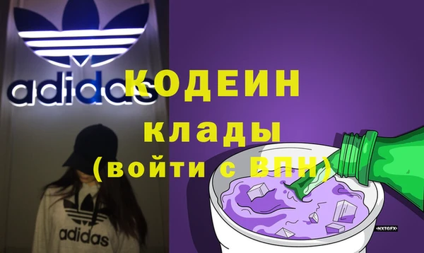 гашик Осташков