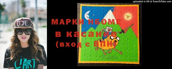 гашик Осташков