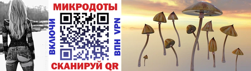 Псилоцибиновые грибы Magic Shrooms Белинский
